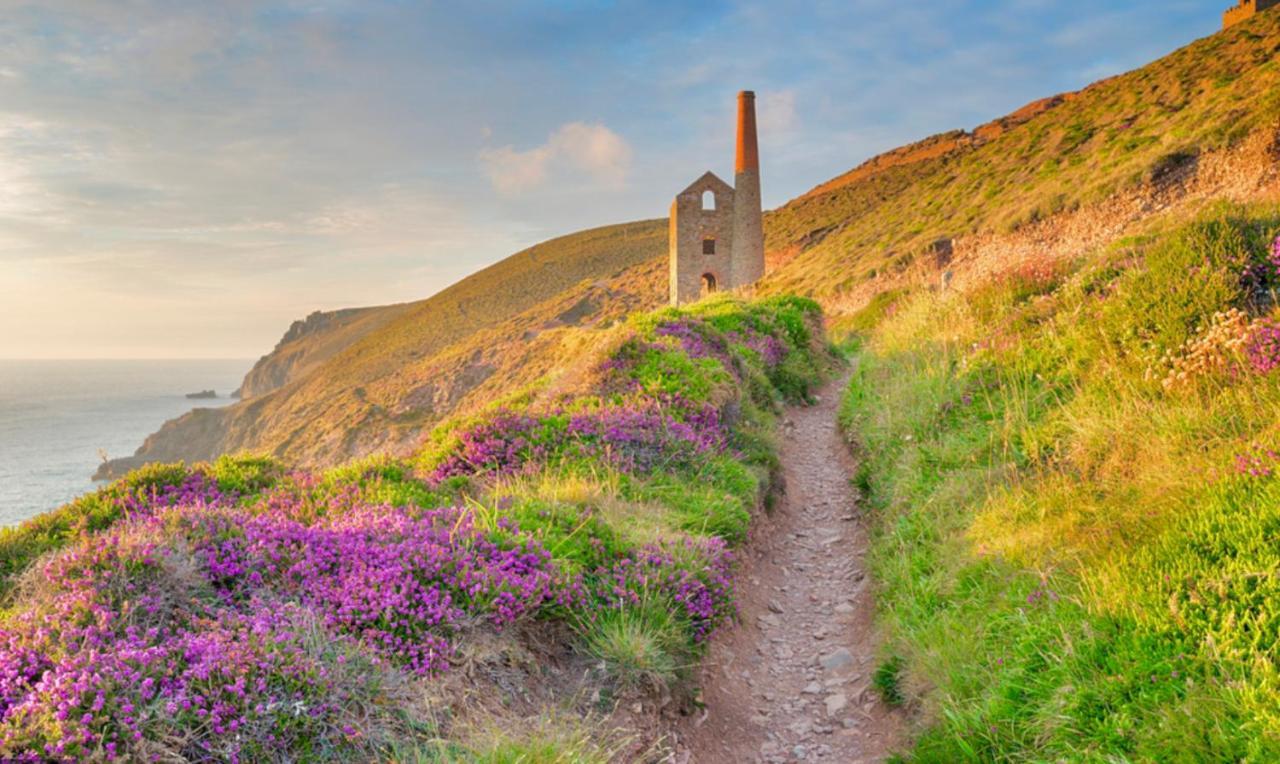 Idyllic Cornish Cottage, Superking Bed, Private Garden Dogs Welcome トルーロー エクステリア 写真
