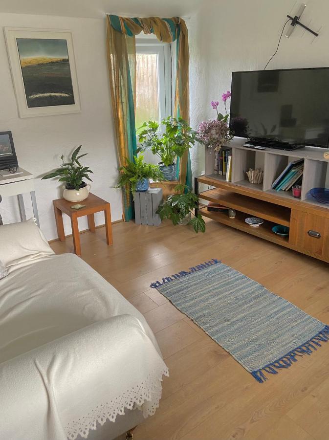 Idyllic Cornish Cottage, Superking Bed, Private Garden Dogs Welcome トルーロー エクステリア 写真
