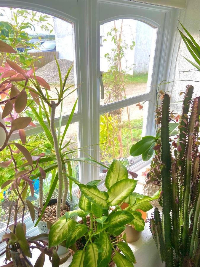 Idyllic Cornish Cottage, Superking Bed, Private Garden Dogs Welcome トルーロー エクステリア 写真